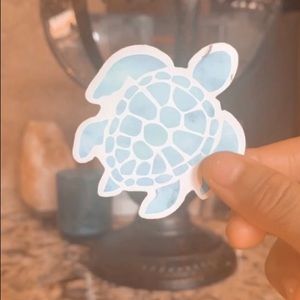 This a aesthetic teal turtle